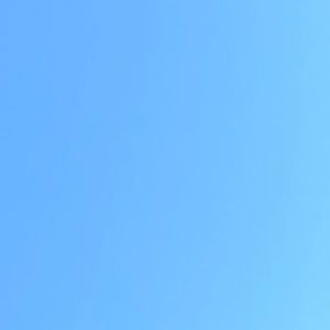 Meet your Posher, Arelis